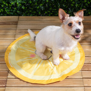 Lemon Cooling Dog Mat