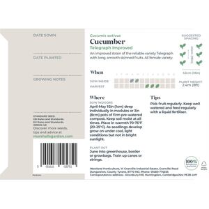 Telegraph Improved Cucumber Seeds, RHS AGM heirloom, Pack of 10