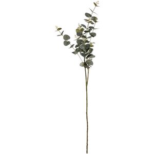 Hill Interiors Artificial Cineraria Eucalyptus Spray