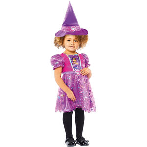 Paw Patrol Girls Skye Witch Costume Set