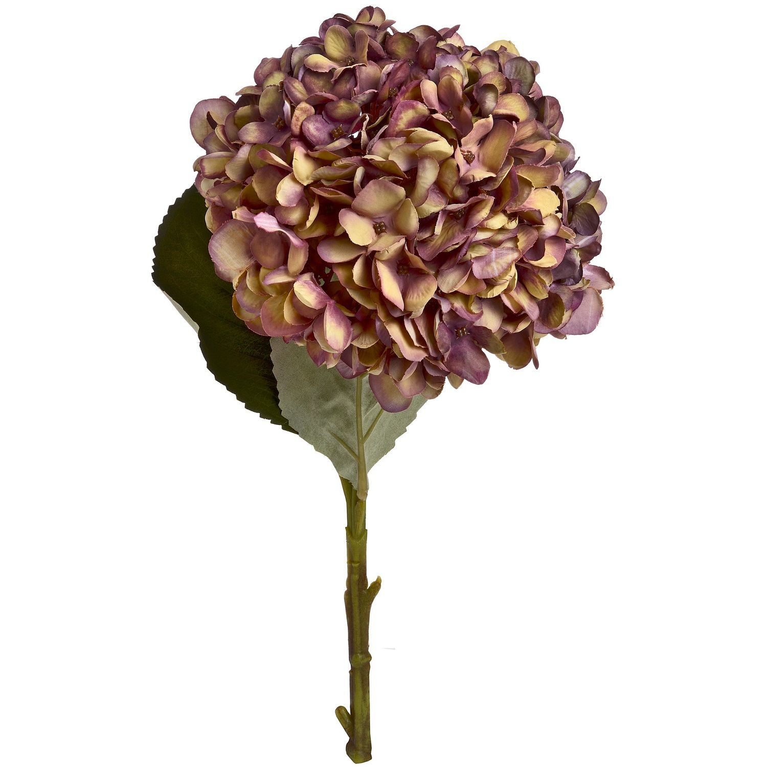 Hill Interiors Artificial Autumn Hydrangea - Coffee