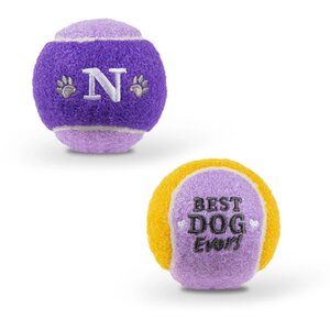 Pre-personalised Dog Ball Toy - N - Over 100 Options