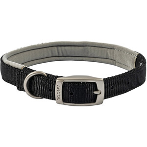 Padded Viva Dog Collar