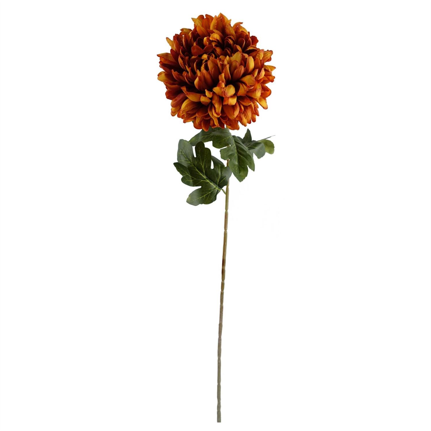 B&Q -  Pack Of 6 X 75Cm Extra Large Reflex ChrysanthemumOrange - Image 3