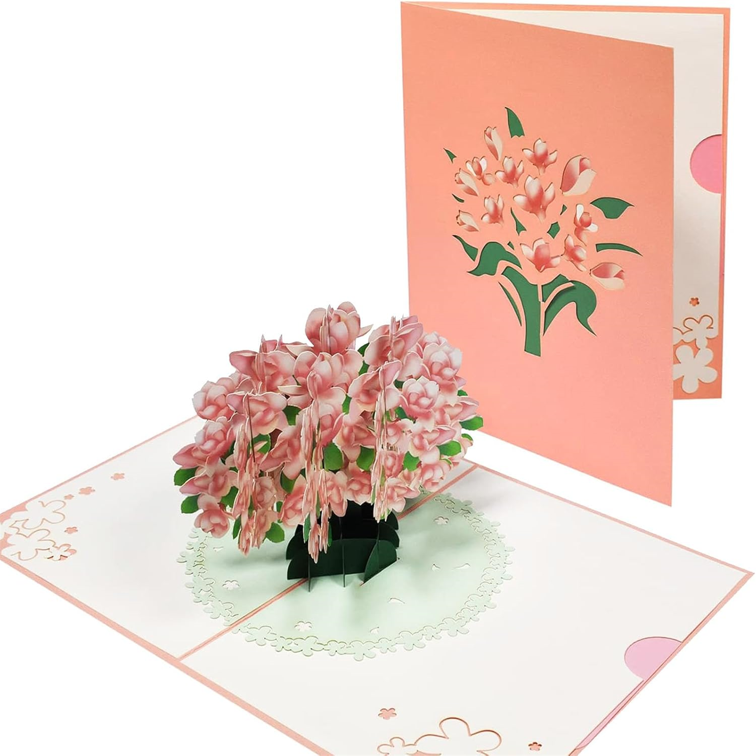 Brightfeel Magnolia Blossom 3D Pop Up Greeting Card - White