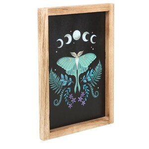  shot 18577474