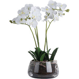 Elegant Accent White Orchid In Glass Pot