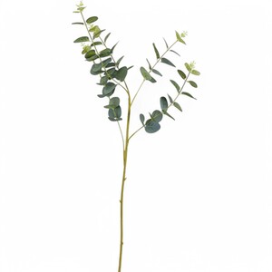 Silk Eucalyptus Stem