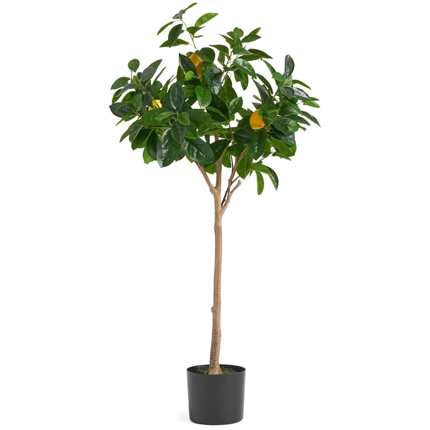 Leaf Design UK Artificial Lemon Tree Plant Black Plastic Pot - 120cm Premium Lemon Tree / 45cm