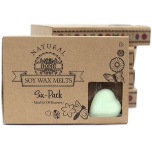 Box of 6 Wax Melts Watermelon Fresh