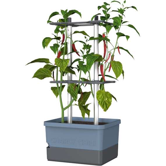 Charly Chili Chili pot with water tank and climbing system