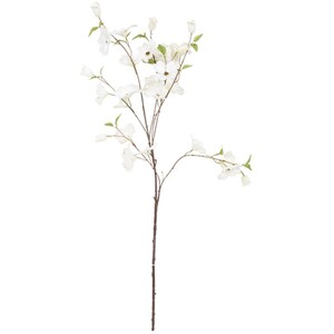 Dogwood Branch