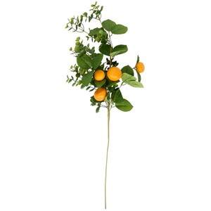 Orange Spray