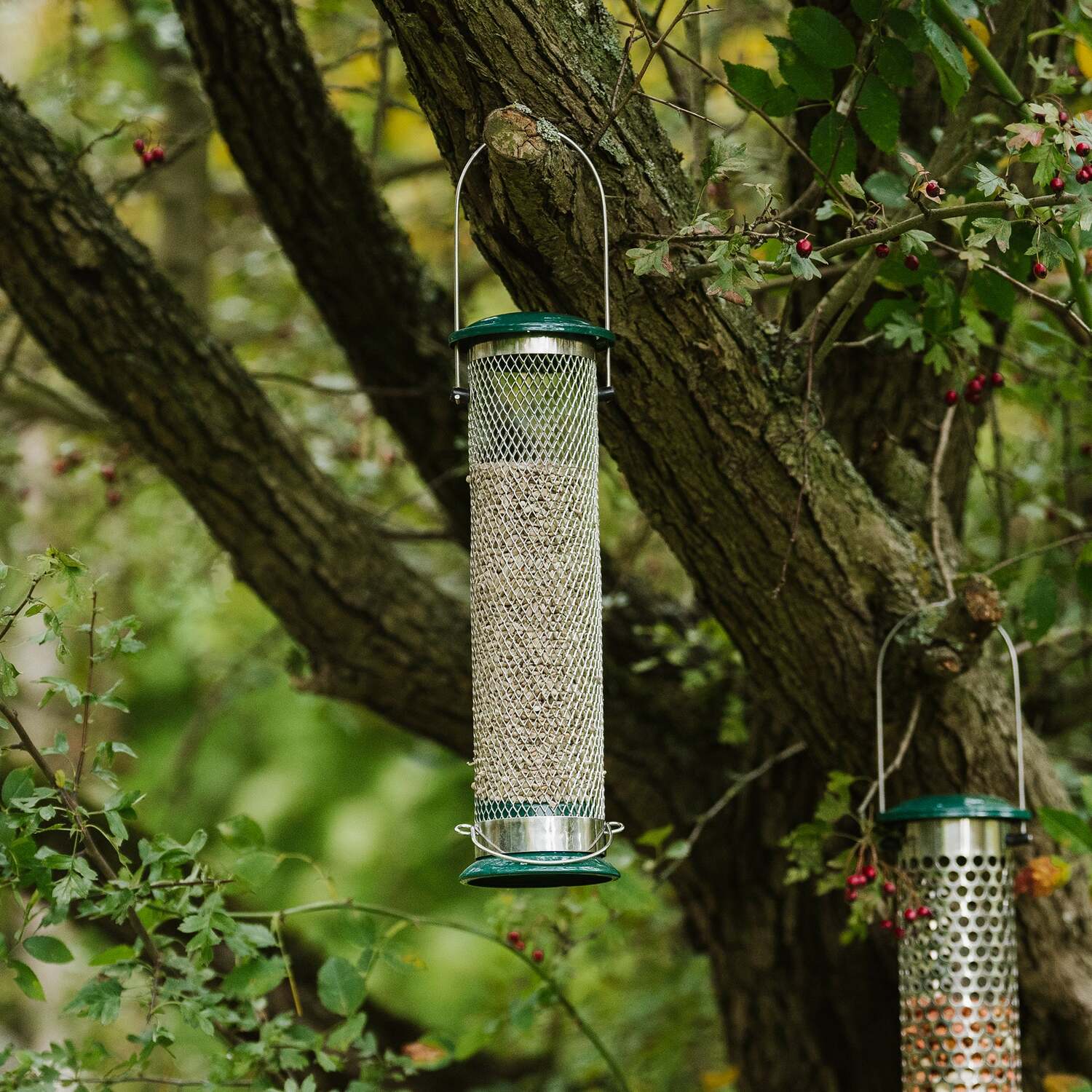 Image of Peckish All-Weather Sunflower Hearts Feeder -&hellip;