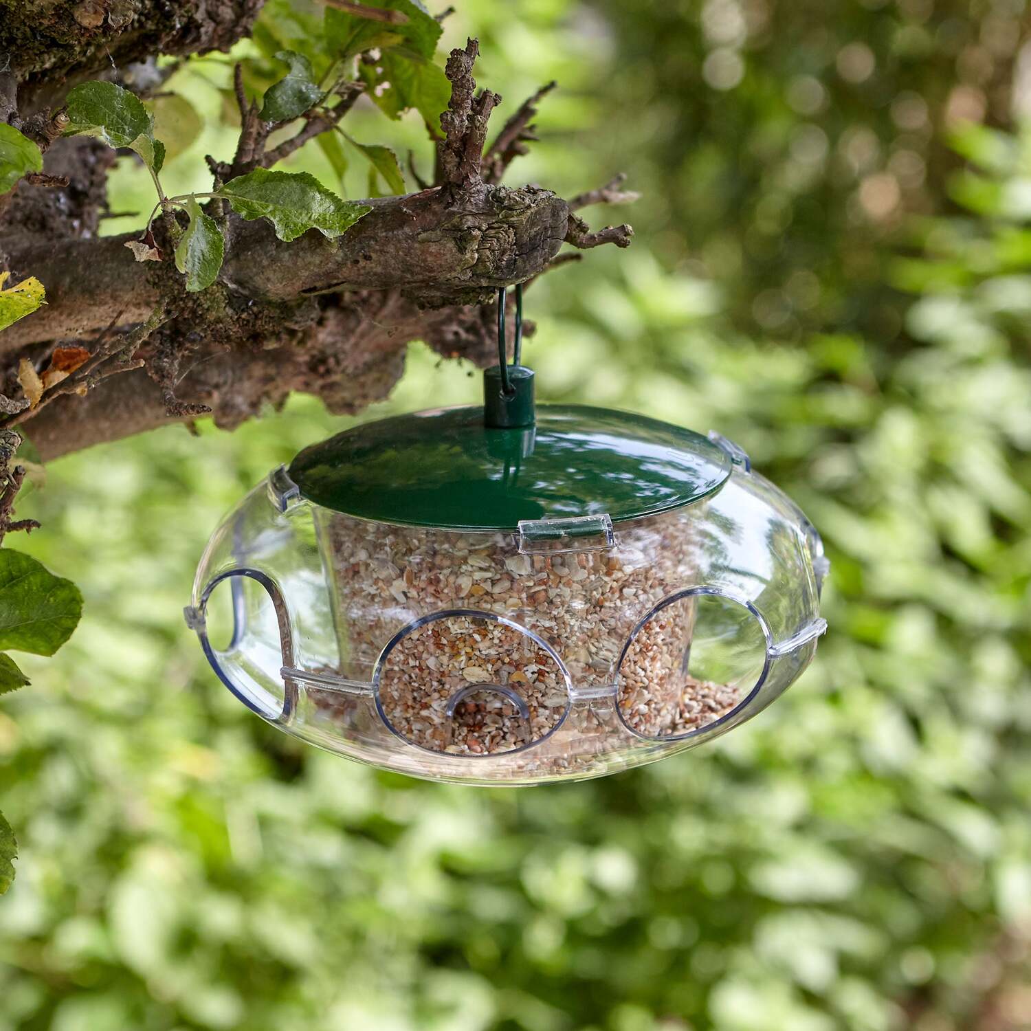 Image of Peckish Small Bird Feeder - Neutral