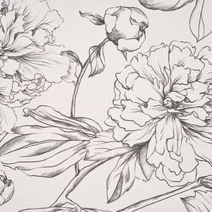  shot 20109664