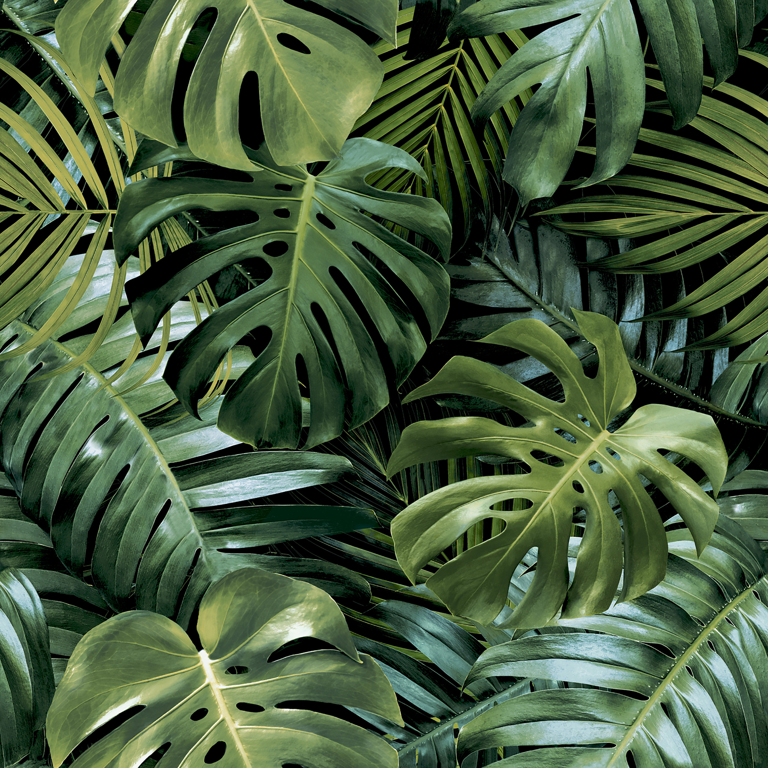 Arthouse Living Wall Green Wallpaper - Image 8