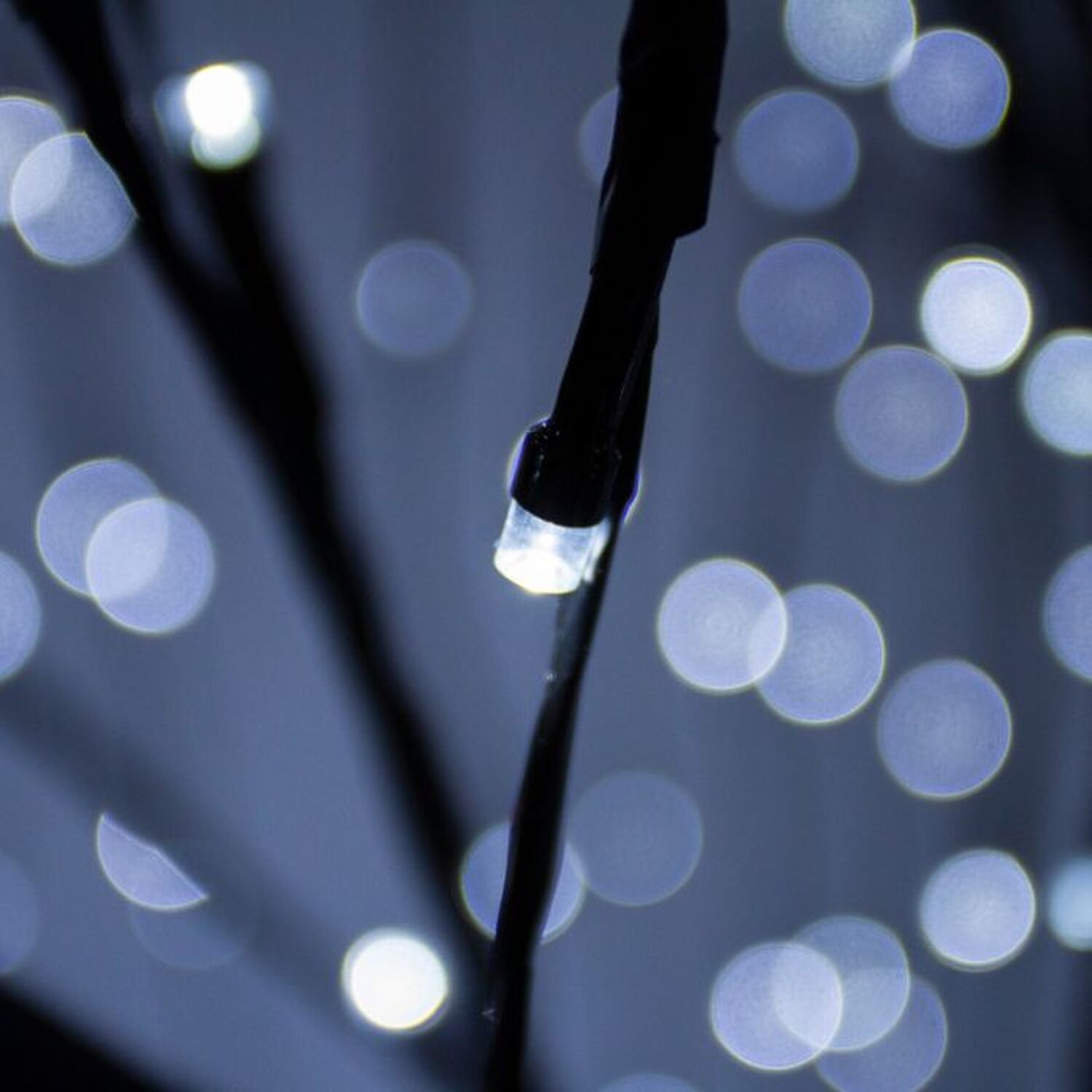 Weeping Willow Black Tree 180cm Cool White Leds - Black
