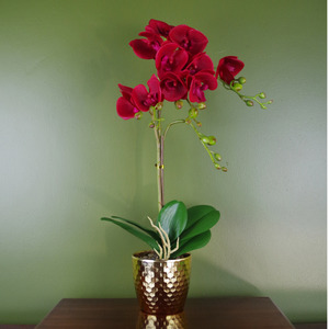  shot 2673626