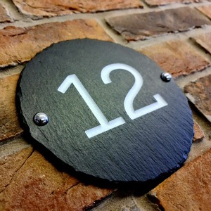  shot 2932101