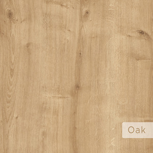  shot 3001374