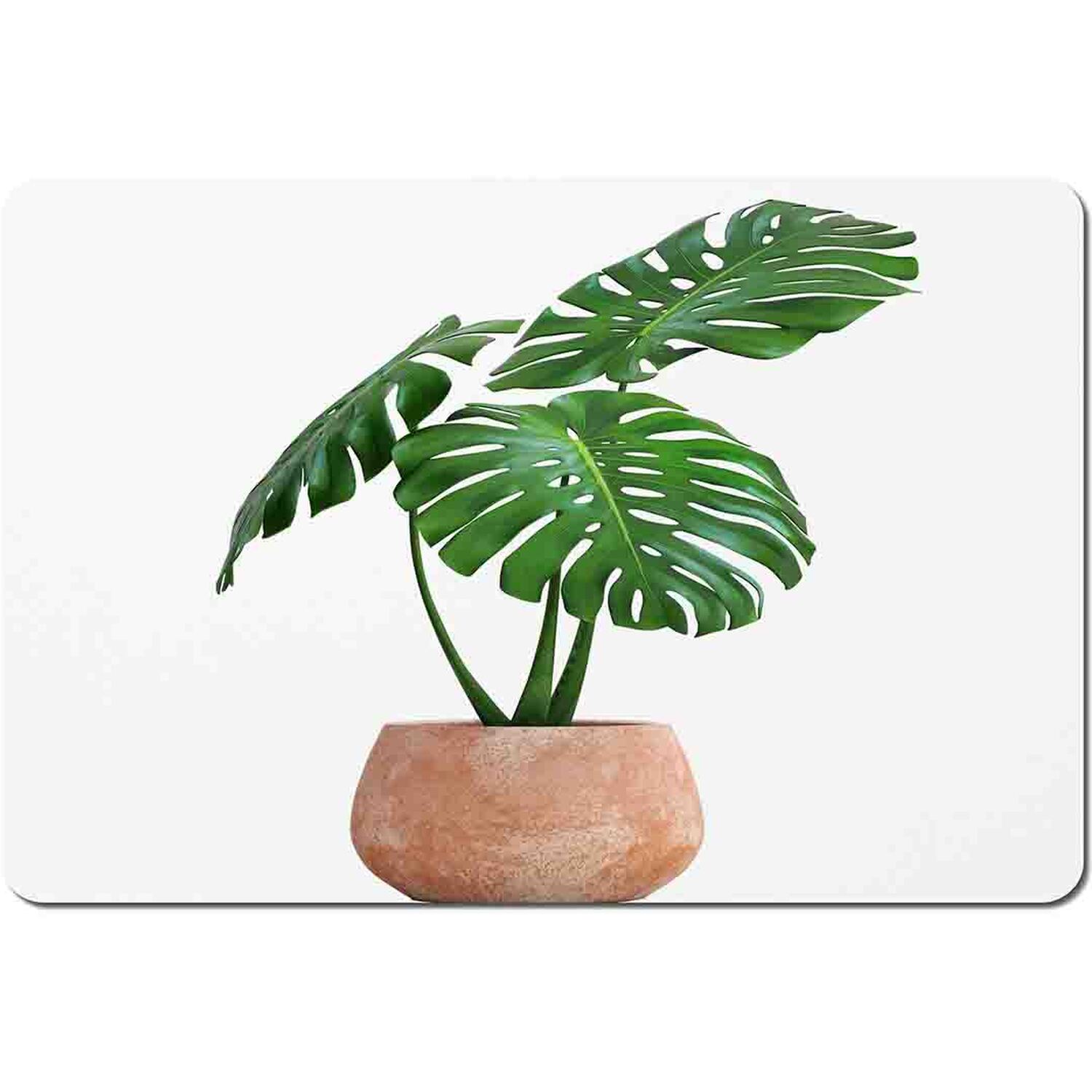 Image of Monstera Placemat Set - Green
