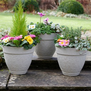  shot 8147172