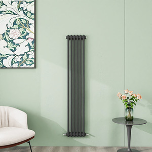 Anthracite / 150cm / 29cm Vertical Traditional Cast Iron Style Radiator 1500-1800mm 2 Column Anthracite shot 8210032
