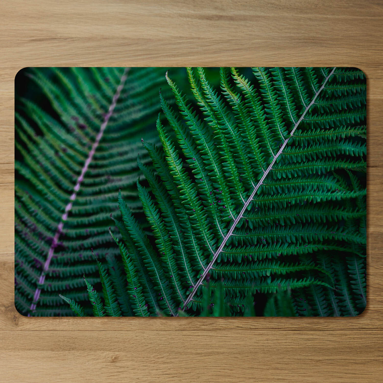 Green leaves, abstract flora texture Designer Placemat Set - Green