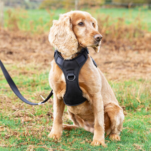 Durable Ultra Soft Harness