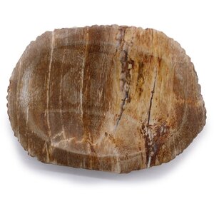 Petrified Wood Soap Dish Unique Mineral Infused Natural Decor