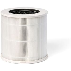 Bosch Air 1000 3-in-1 Replacement Filter