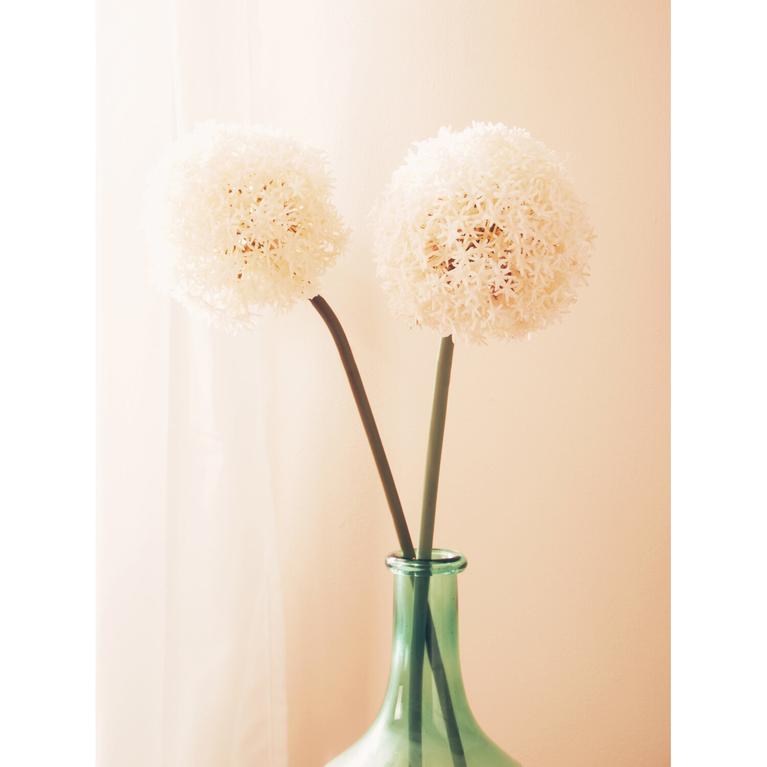 Fiori Ivory Allium Flower Stem - White