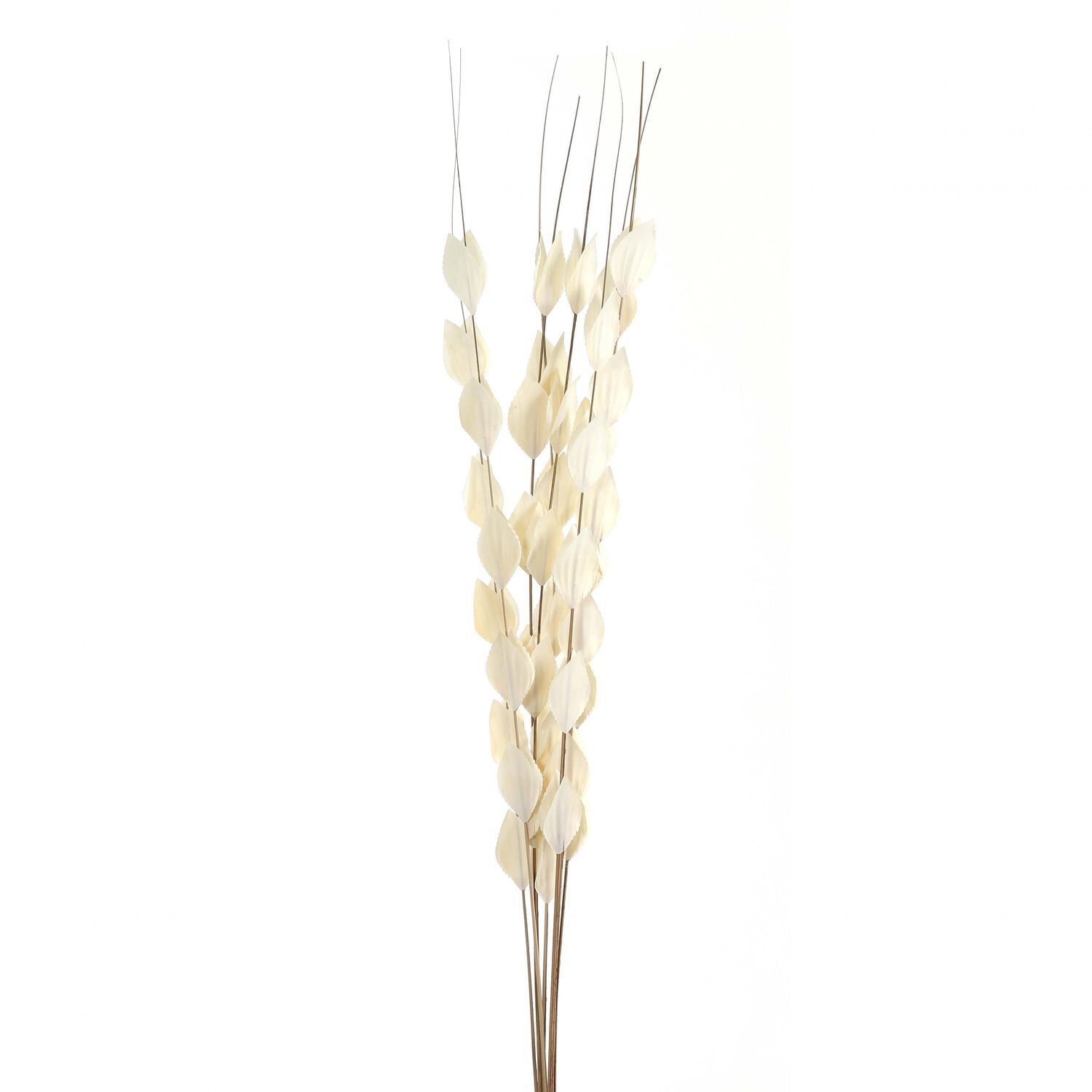 Hill Interiors Bouquet Of Dried Thlaspi Arvense Artificial Flower - White
