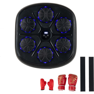 Mountable Boxing Trainer with Gloves