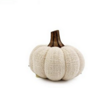 Soft Cream Cotton Deco Pumpkin