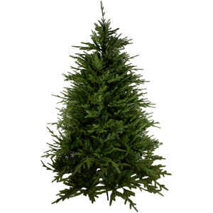 Highclere Fir 7ft Christmas Tree