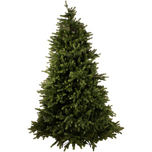 Sandringham Fir 7ft Christmas Tree