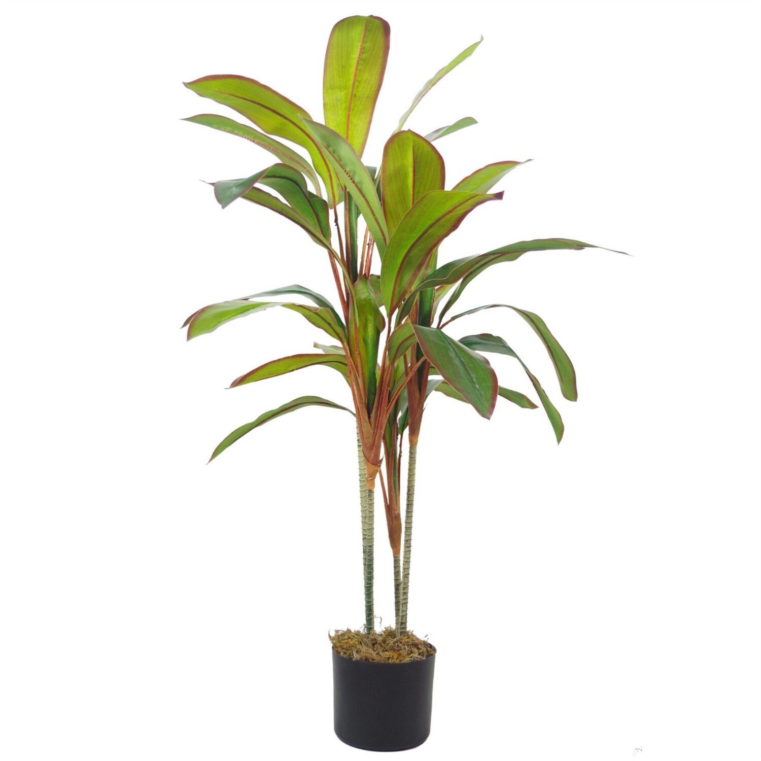 90cm Artificial Dracaena in Moss-Covered Weighted Pot - Green