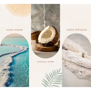 Heart and Home  Blissful Oasis Essential Oil Blend