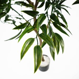  shot 22485064