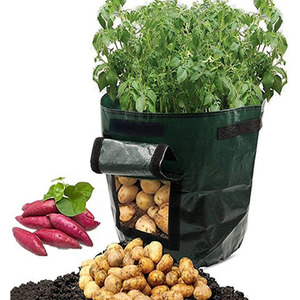 Heavy Duty PE Plant Bag