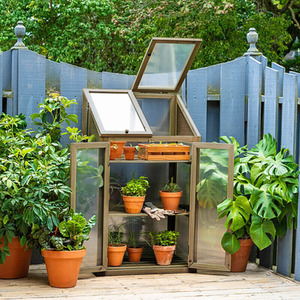 Neo Wooden Growhouse Flower and Vegetable Planting Box