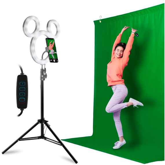 Mickey Mouse Photo Studio Kit