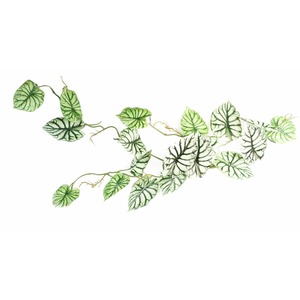 Leaf Artificial Trailing Hanging Plant Realistic Alocasia  Light