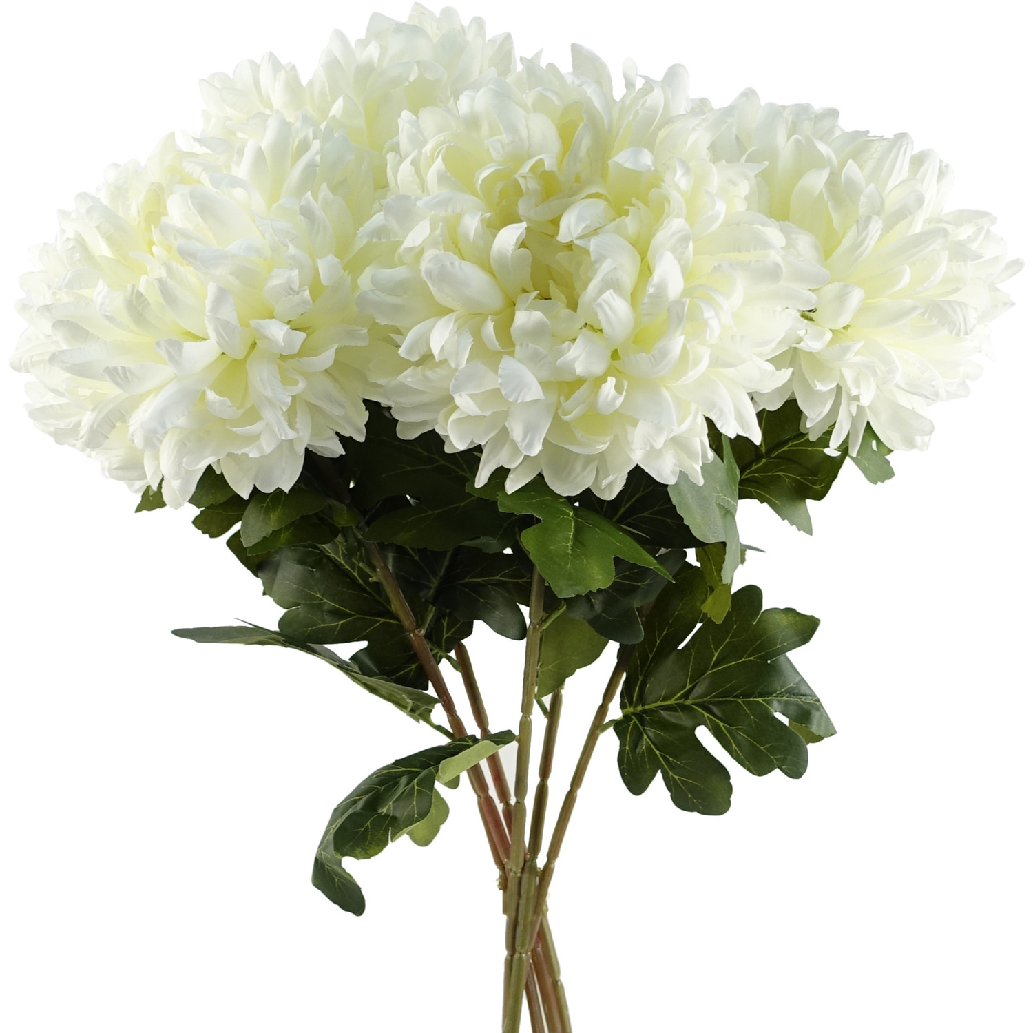 Pack of 6 x Extra Large Reflex Chrysanthemum -  White Chrysanthemum