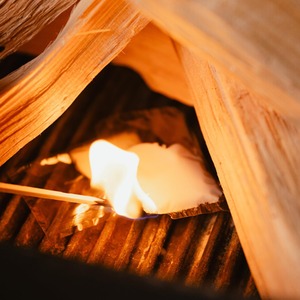  shot 7420099