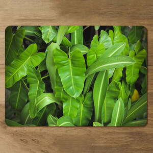 Abstract background of dark green leaves Designer Placemat Set