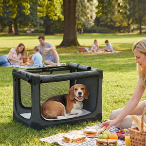 PawHut Collapsible Dog Crate Pet Travel Carrier