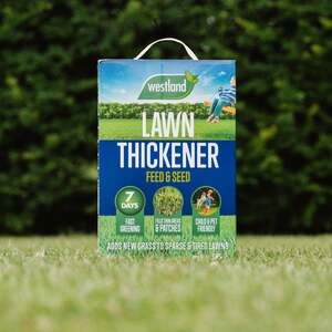 Westland Lawn Thickener Feed & Seed - Fast-Acting, Pet-Friendly Lawn Feed